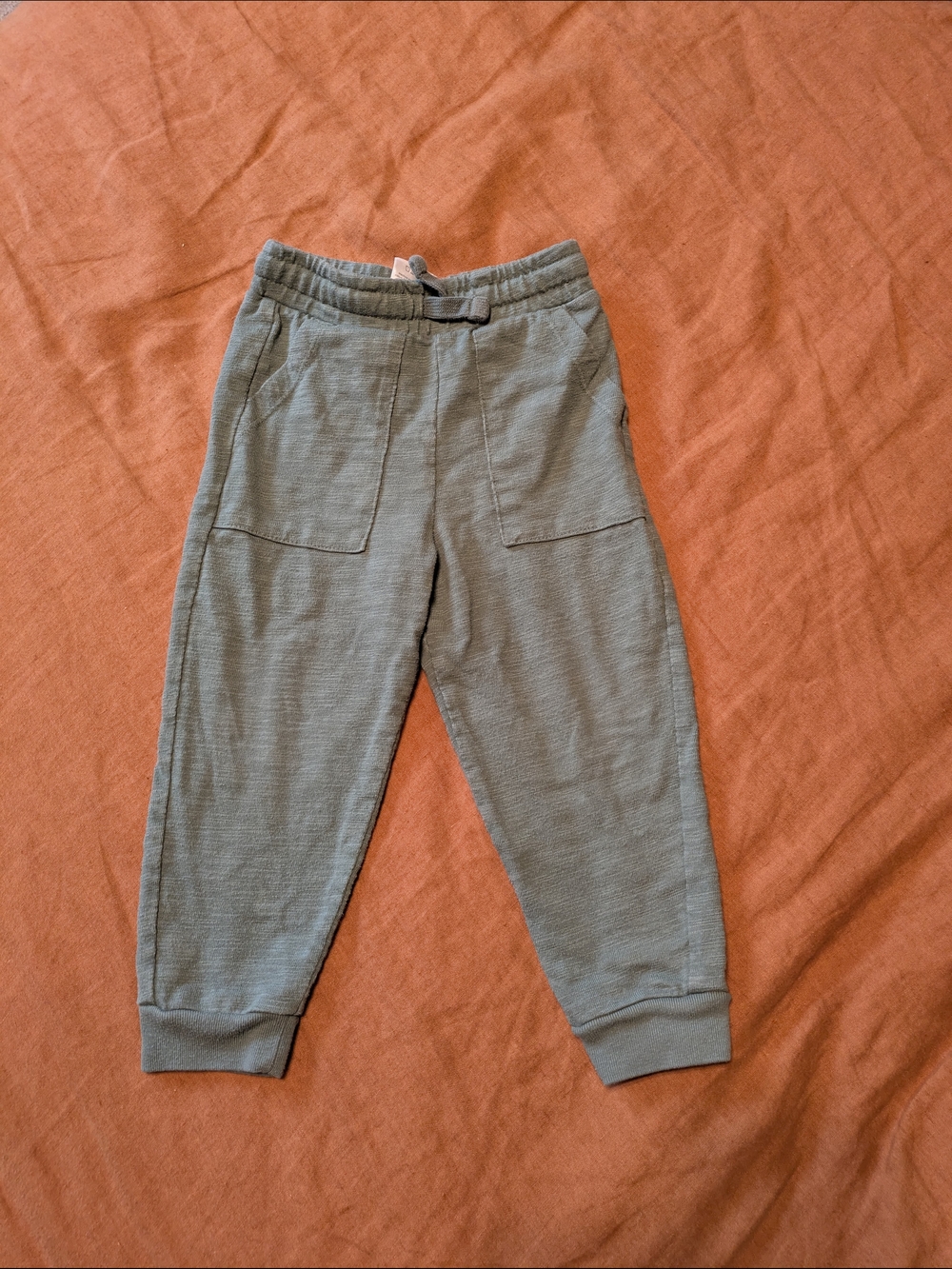 Garanimals Sage Green Jogger Pants for Kids